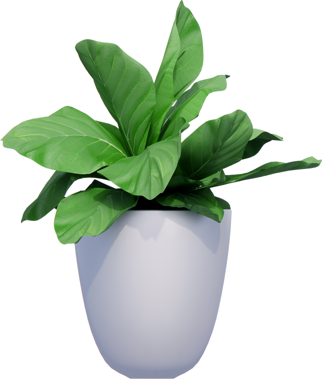 flower plant pot decor